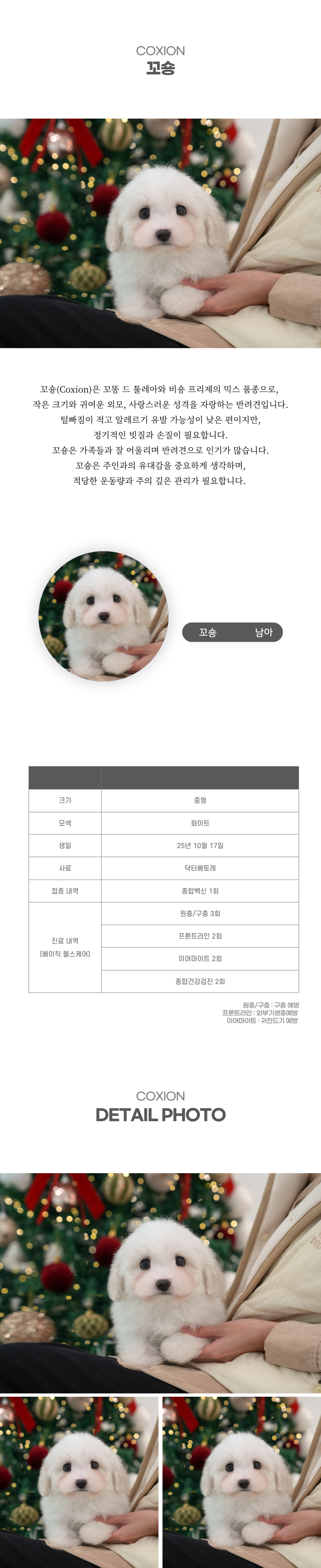꼬숑_상세이미지_2
